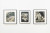 Collages and Paintings from 1954 to 1982