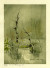View, The Modern Magazine, Series 5, No. 1: Duchamp Number