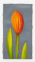 tulpeerinnern