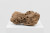 Fragment_Popenguine 23_02